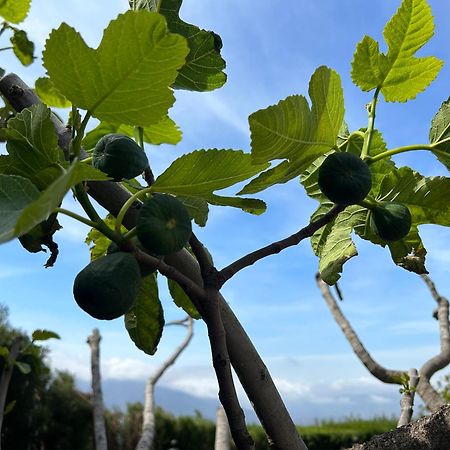Villa Rustica En La Alpujarra - La Gualalla - Soportujar Carataunas Eksteriør bilde