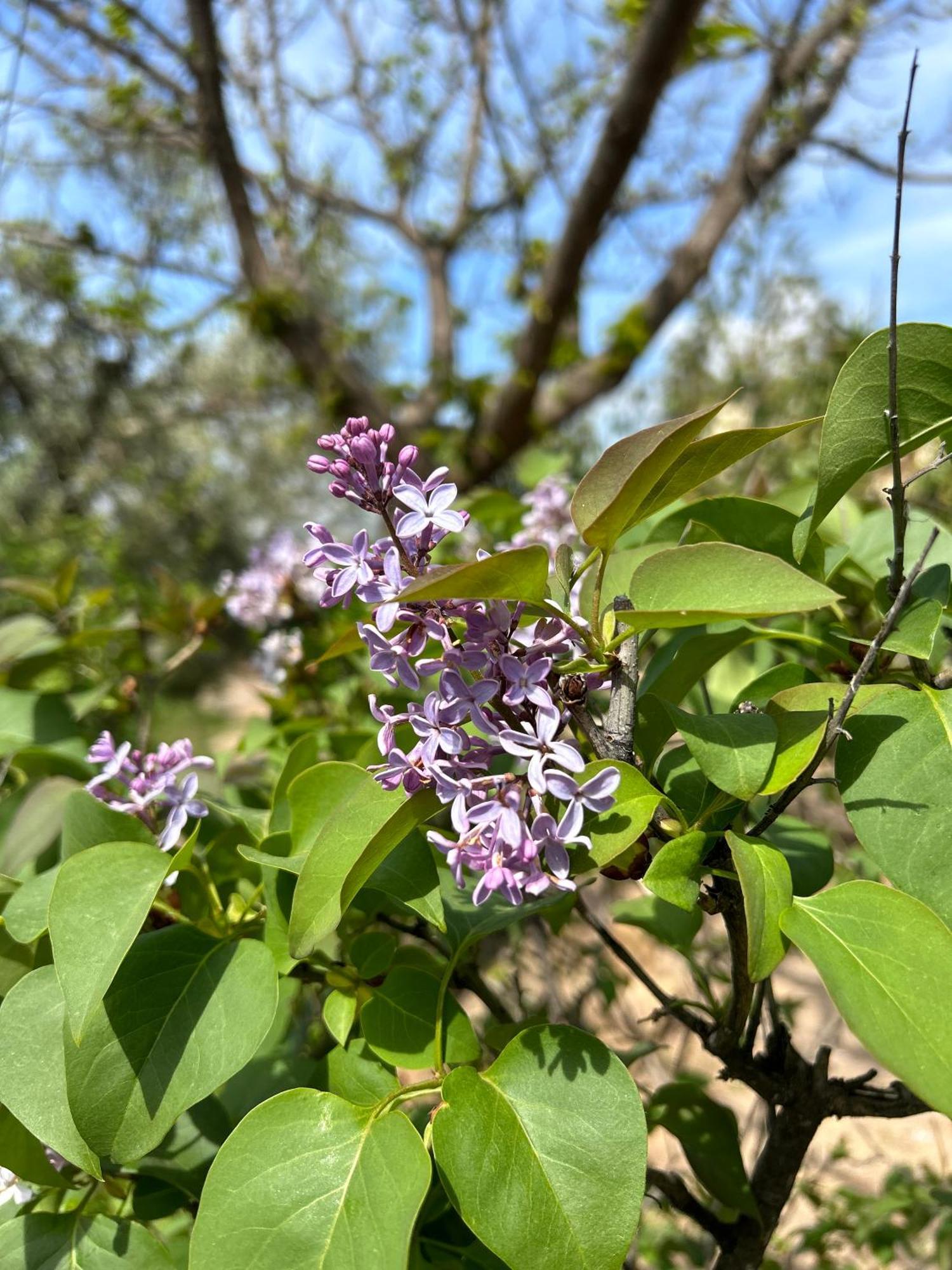 Villa Rustica En La Alpujarra - La Gualalla - Soportujar Carataunas Eksteriør bilde
